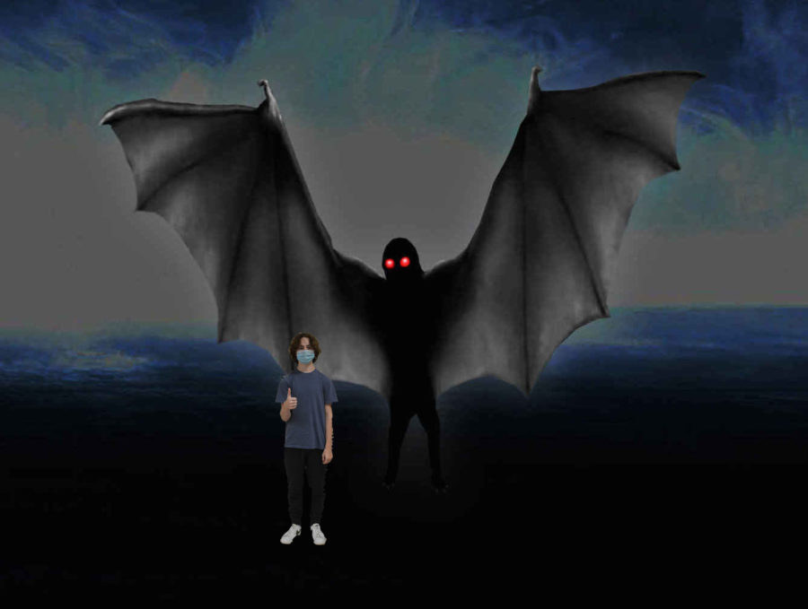What is the Mothman?