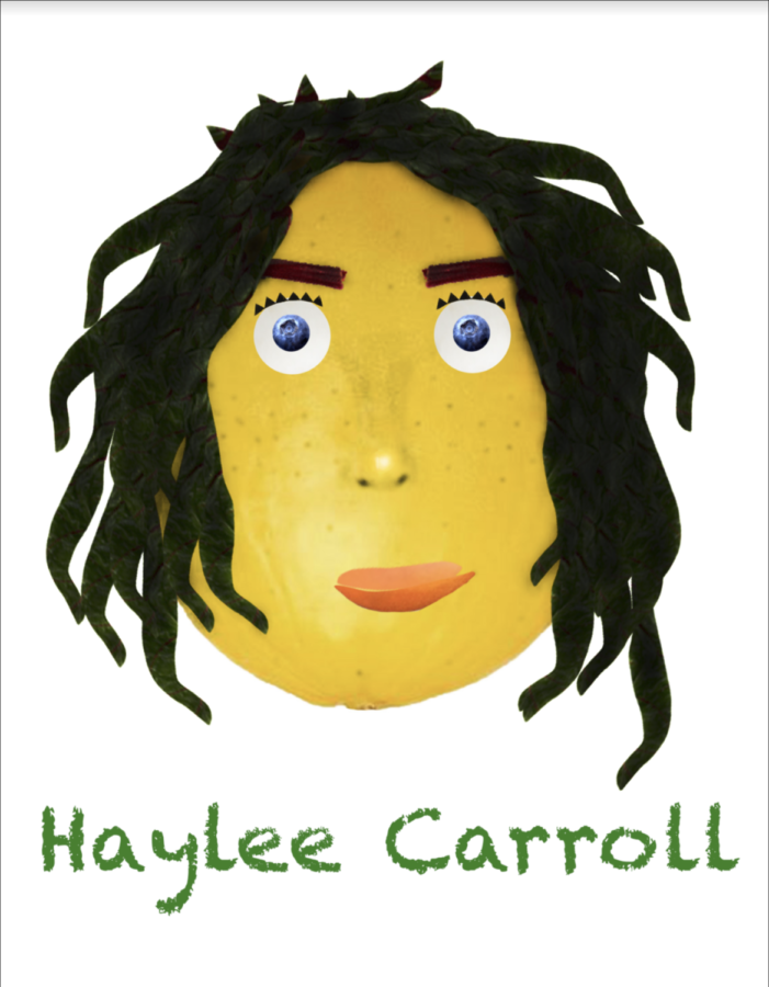 Melon Head Self Portrait – Haylee Carroll