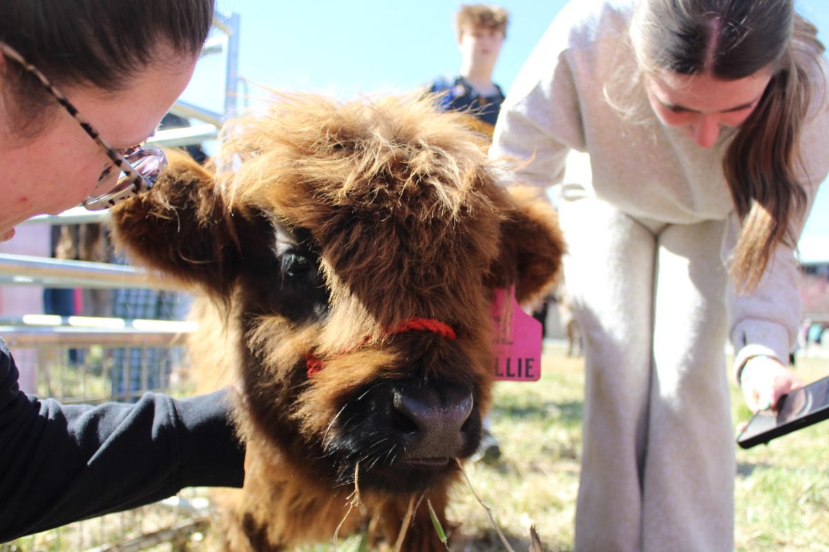 FFA Week Is in the Air