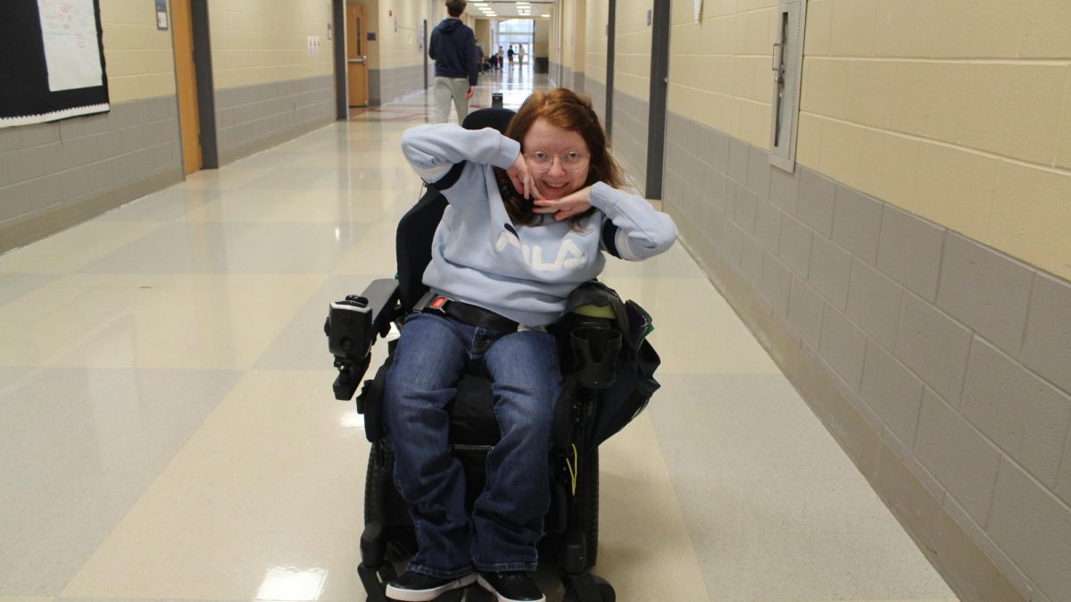 Sarah Steele and Her Grasp on Life