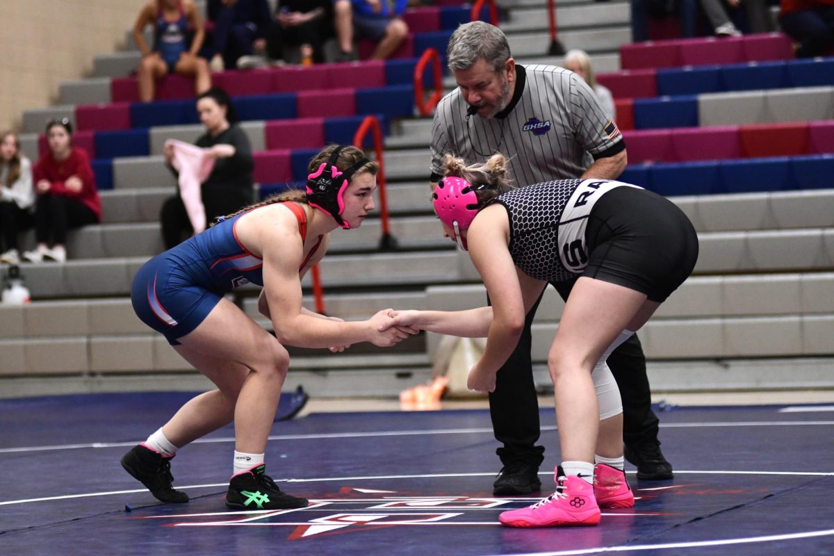 HHS Girls Wrestling Team Shows Growth and Success