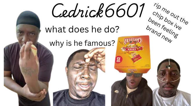 Rip Me Out The Chip Box I’ve Been Feeling Brand New - Cedrick6601